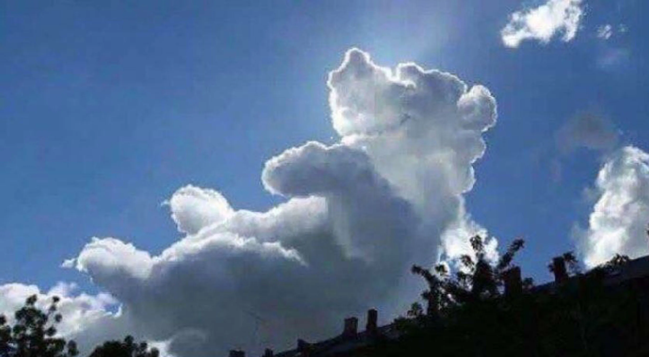 bear cloud